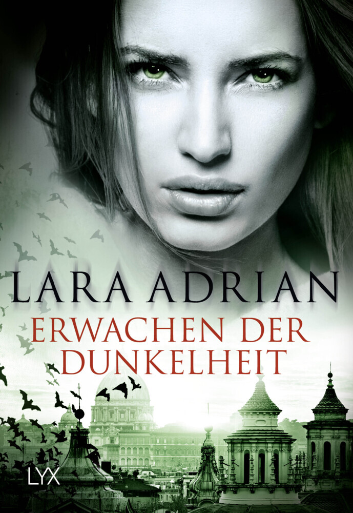 Erwachen der Dunkelheit main product photo