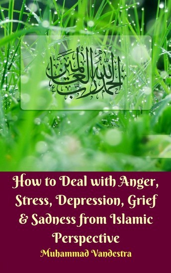 How to Deal with Anger, Stress, Depression, Grief & Sadness from Islamic Perspective main product photo