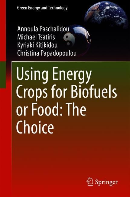Using Energy Crops for Biofuels or Food: The Choice main product photo