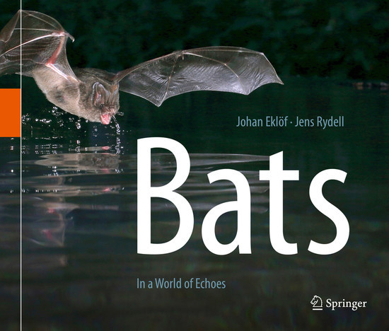 Bats main product photo