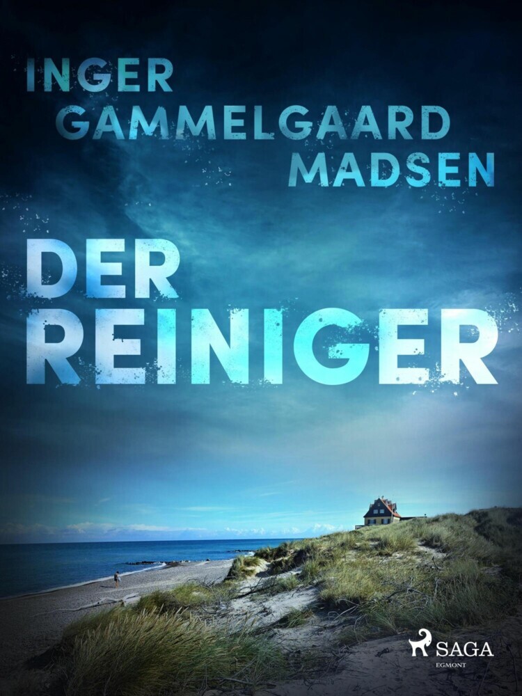 Der Reiniger main product photo