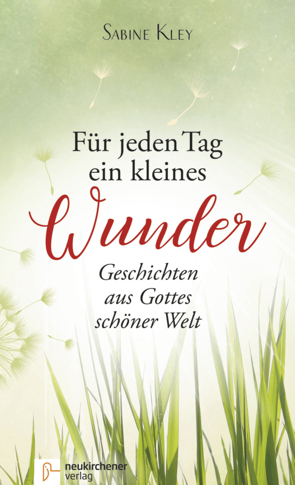 Für jeden Tag ein kleines Wunder main product photo