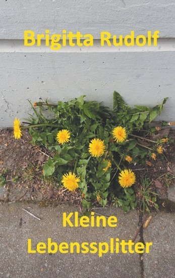 Kleine Lebenssplitter main product photo