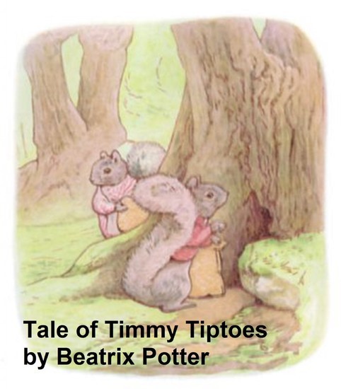 The Tale of Timmy Tiptoes main product photo