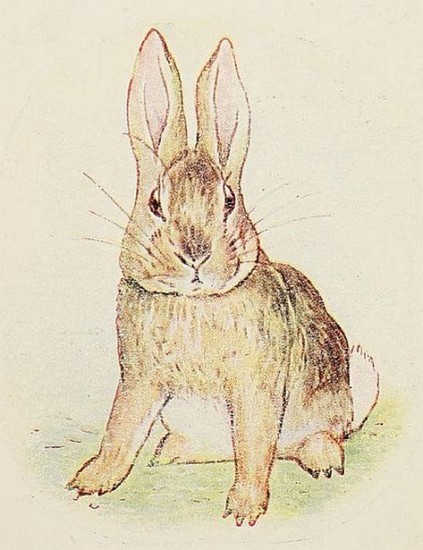 The Story of a Fierce Bad Rabbit main product photo