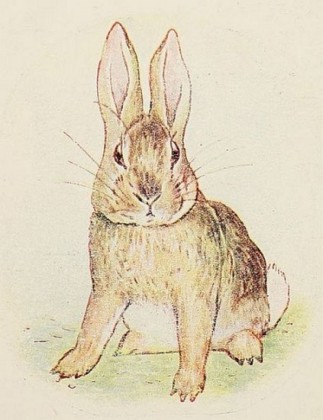 The Story of a Fierce Bad Rabbit