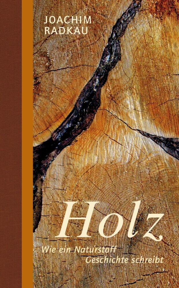 Holz main product photo
