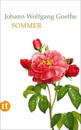 Sommer