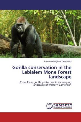 Gorilla conservation in the Lebialem Mone Forest landscape