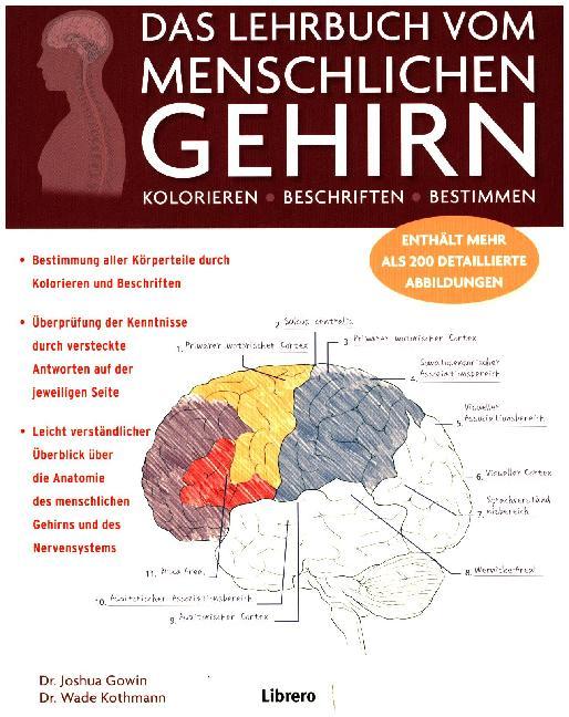 Das Lehrbuch vom menschlichen Gehirn main product photo