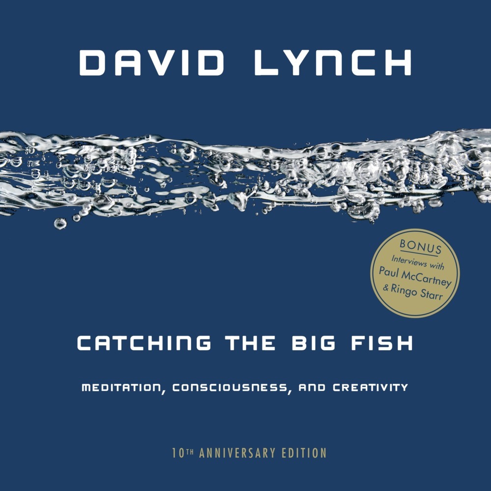 Catching the Big Fish main product photo