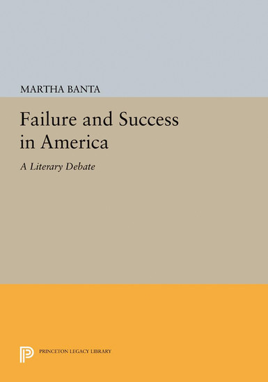 Failure and Success in America main product photo
