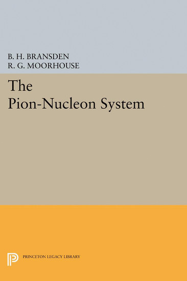 The Pion-Nucleon System main product photo