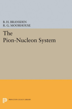 The Pion-Nucleon System