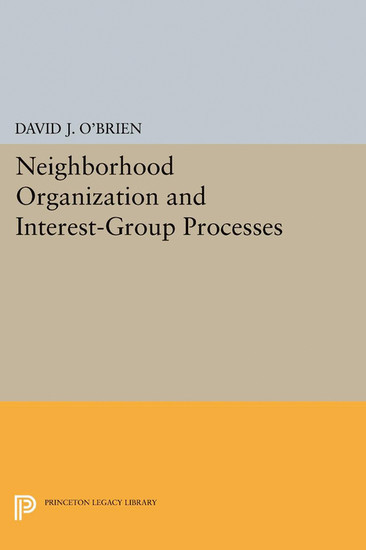 Neighborhood Organization and Interest-Group Processes main product photo