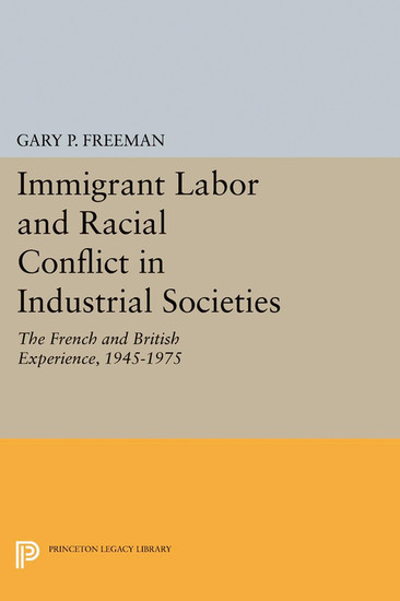 Immigrant Labor and Racial Conflict in Industrial Societies main product photo