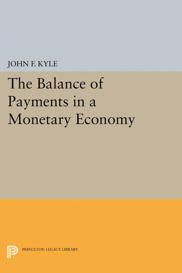 The Balance of Payments in a Monetary Economy main product photo