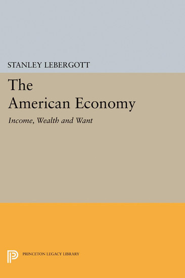 The American Economy main product photo
