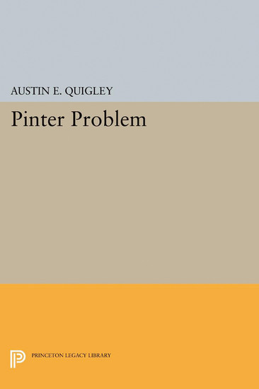 Pinter Problem main product photo