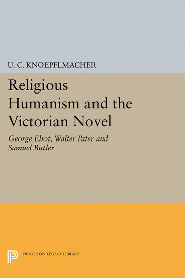 Religious Humanism and the Victorian Novel main product photo