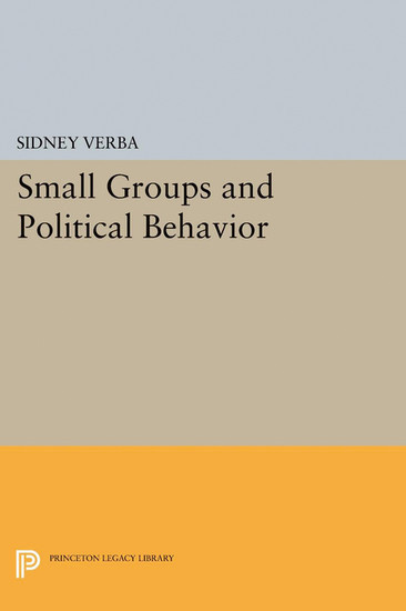 Small Groups and Political Behavior main product photo