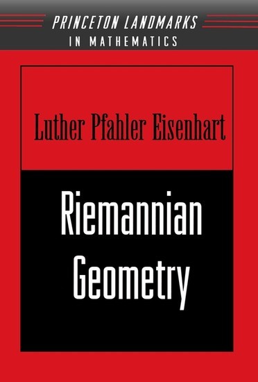 Riemannian Geometry main product photo