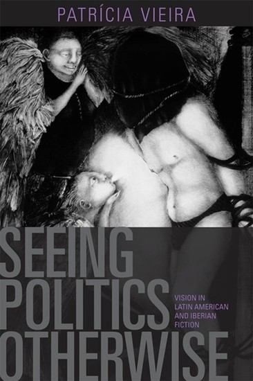 Seeing Politics Otherwise main product photo