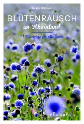 Blütenrausch im Rheinland