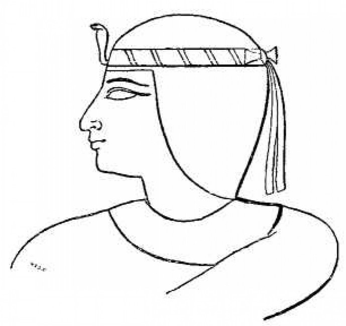 History of Ancient Egypt main product photo