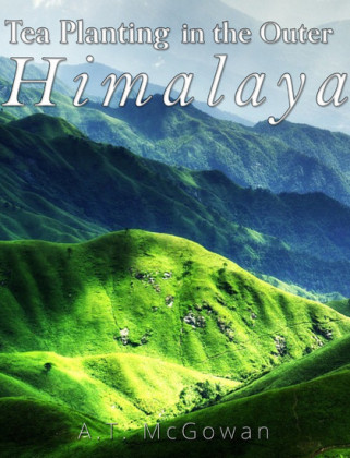 Tea Planting in the Outer Himalaya