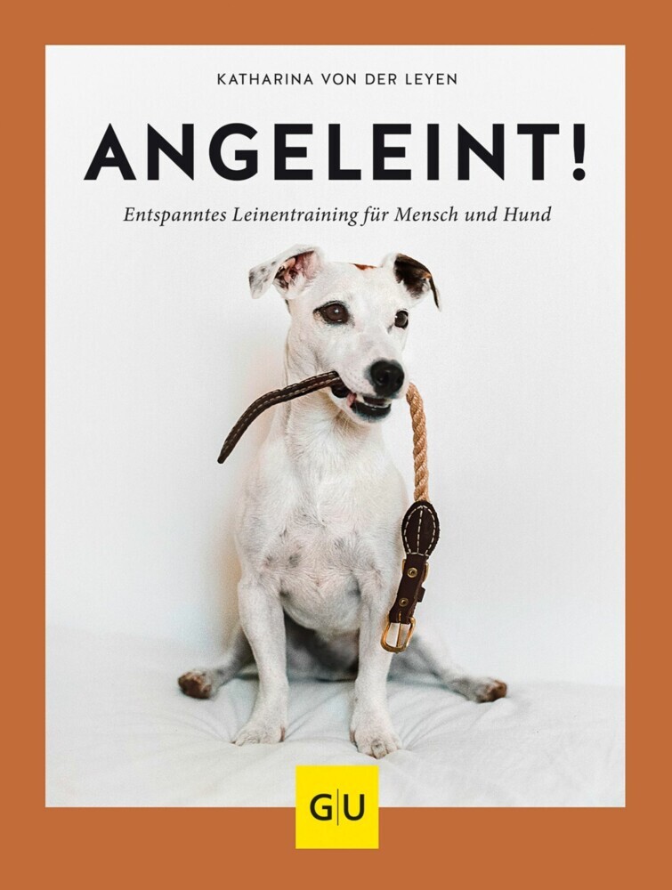 Angeleint! main product photo