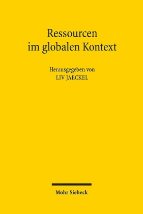 Ressourcen im globalen Kontext