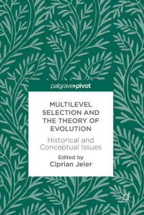 Multilevel Selection and the Theory of Evolution