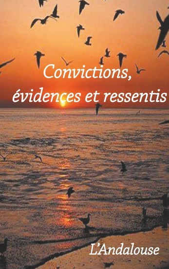 Convictions, évidences et ressentis main product photo