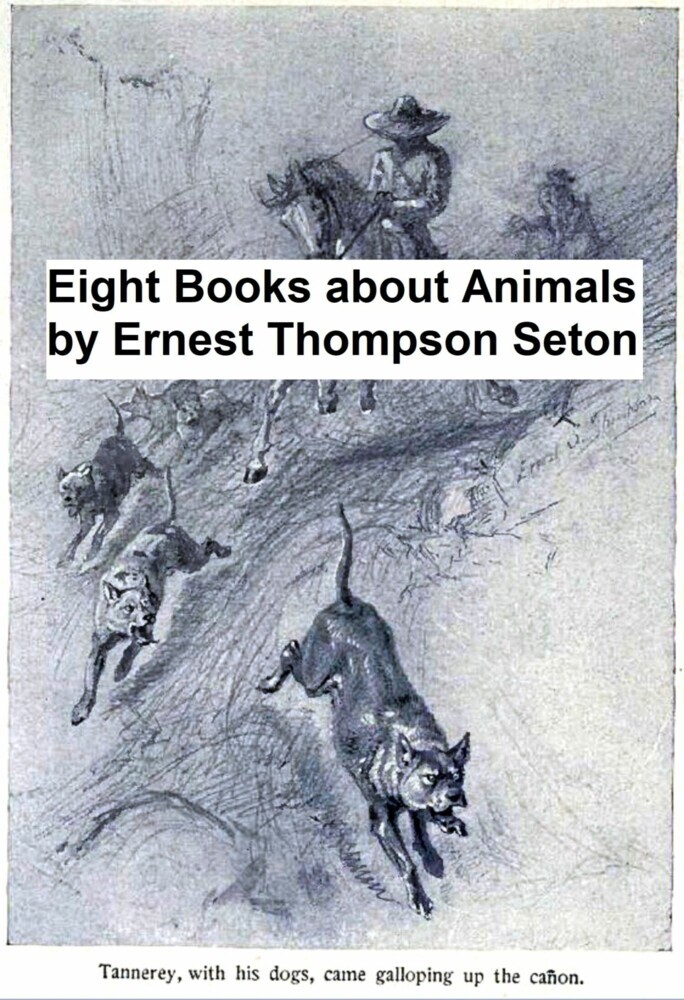 Eight Books About Animals main product photo