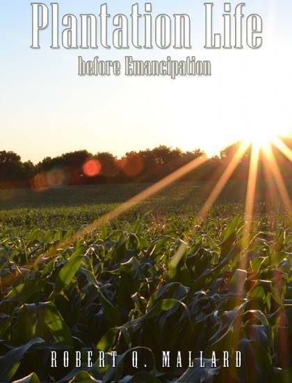 Plantation Life Before Emancipation main product photo