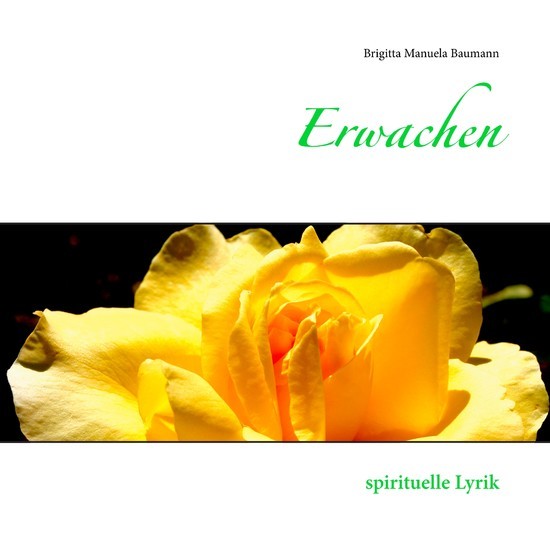 Erwachen main product photo