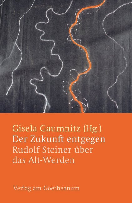 Der Zukunft entgegen main product photo