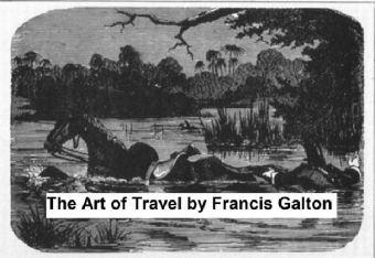 The Art of Travel