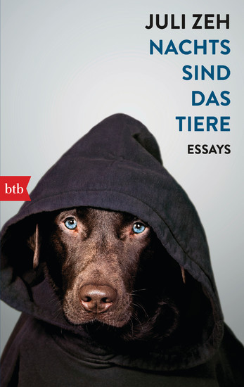 Nachts sind das Tiere main product photo