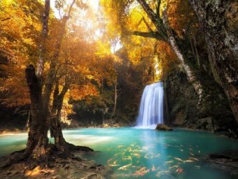 Lais Puzzle Wasserfall 1000 Teile