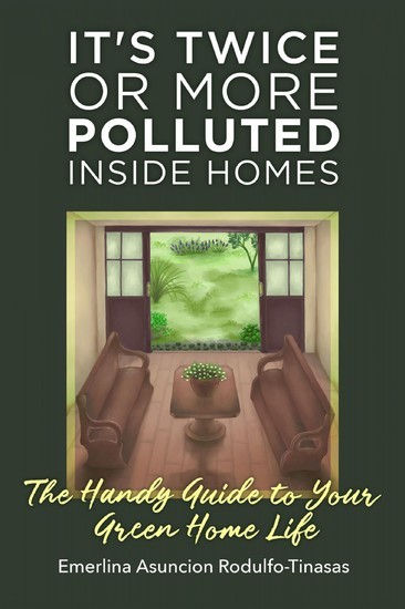 It's Twice or More Polluted Inside Homes main product photo