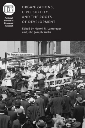 Organizations, Civil Society, and the Roots of Development