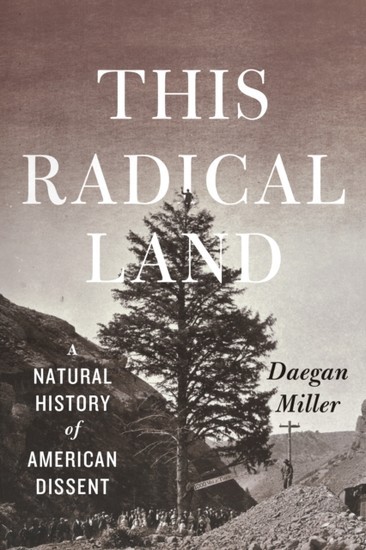 This Radical Land main product photo