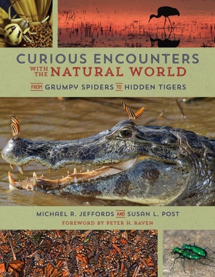Curious Encounters with the Natural World main product photo