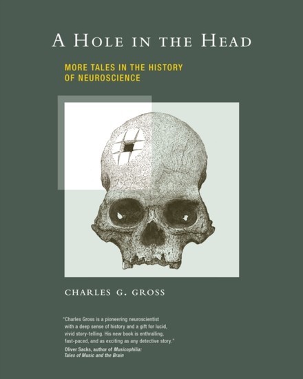 Hole in the Head main product photo