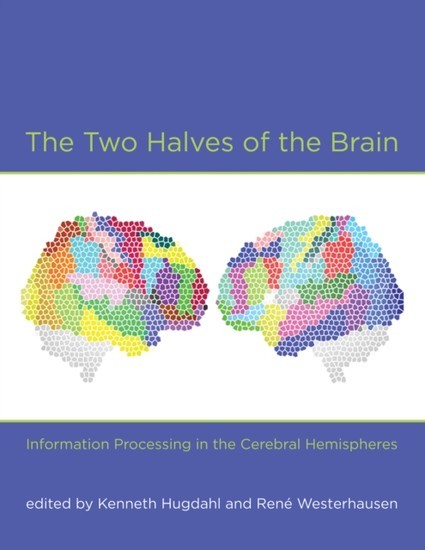 Two Halves of the Brain main product photo