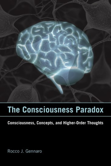 Consciousness Paradox main product photo