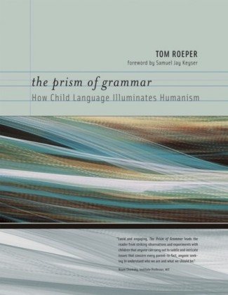 Prism of Grammar