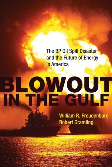 Blowout in the Gulf main product photo